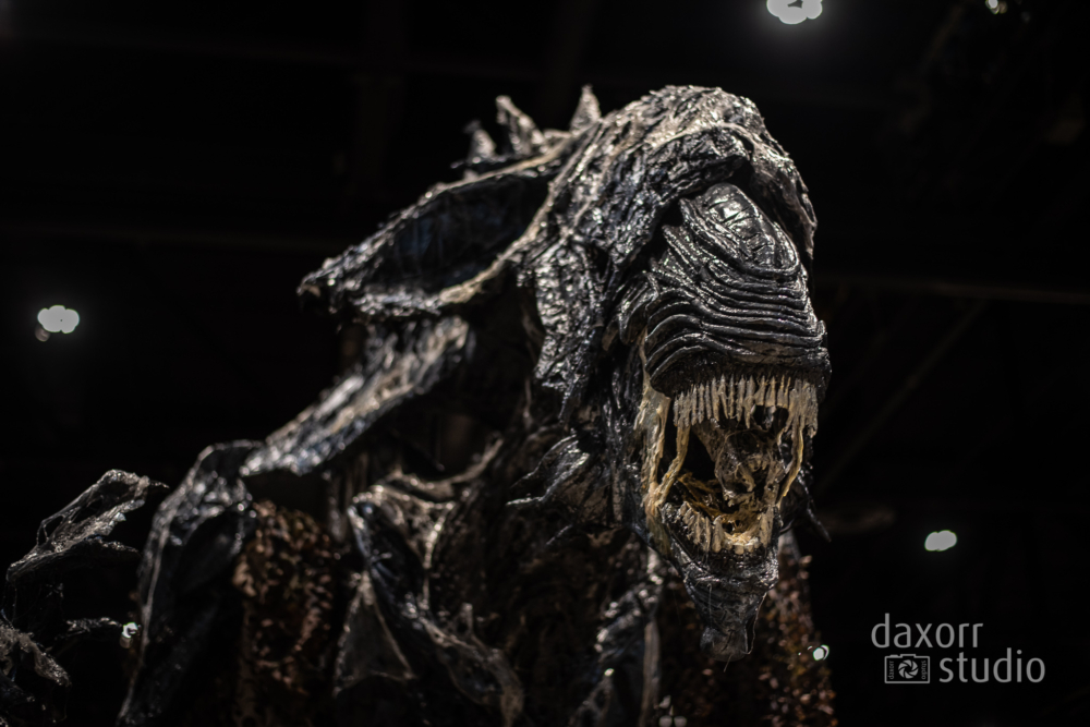 c2e22023-DAX_1024-daxorrstudio.com_
