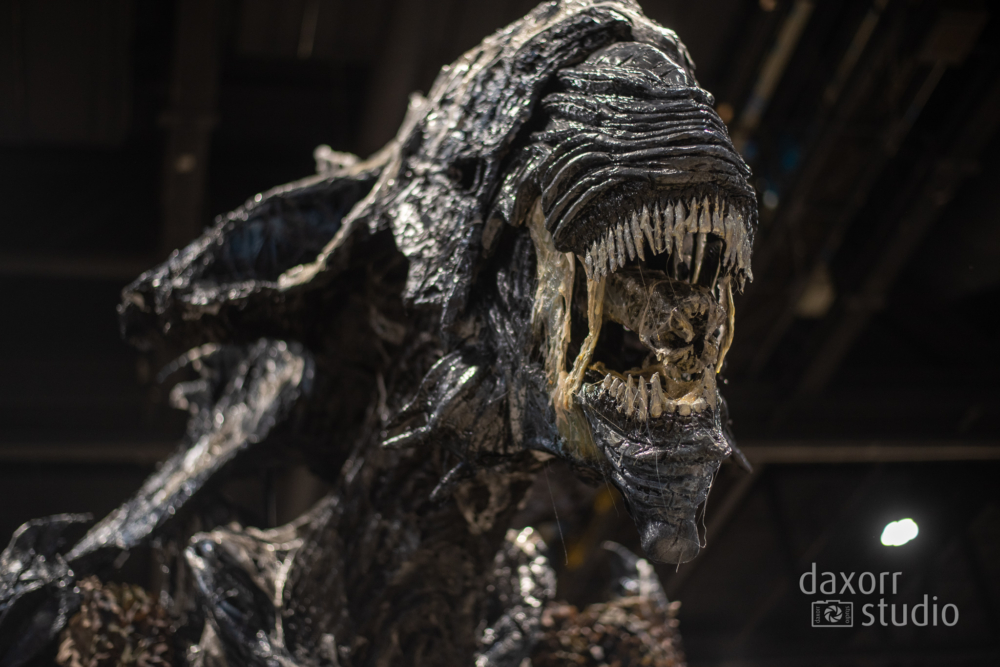 c2e22023-DAX_1030-daxorrstudio.com_