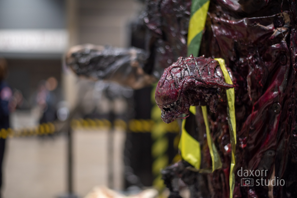 c2e22023-DAX_1032-daxorrstudio.com_