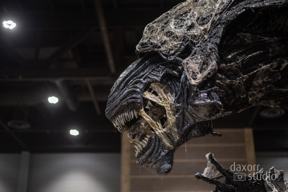 c2e22023-DAX_1033-daxorrstudio.com_