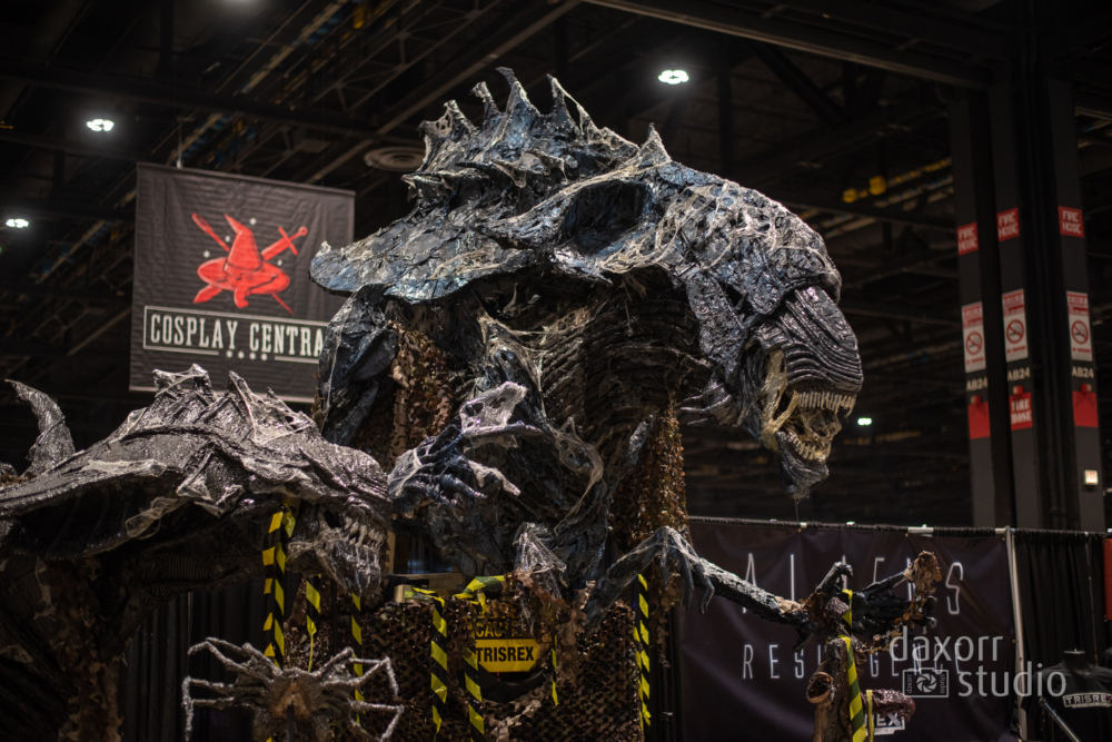 c2e22023-DAX_1071-daxorrstudio.com_