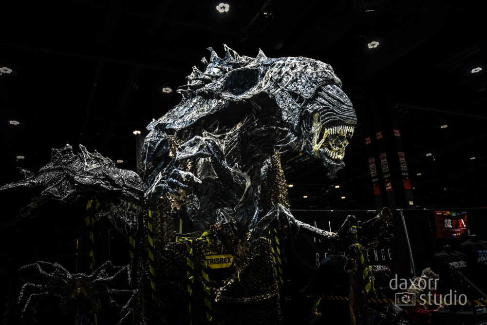 c2e22023-DAX_9503-daxorrstudio.com_